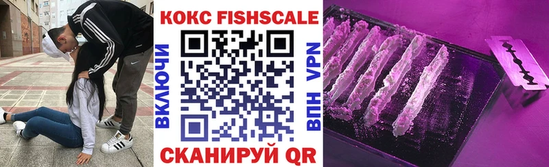 Купить закладки  Владимир  COCAIN 98% 