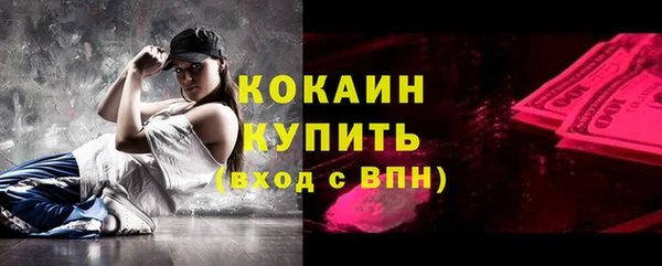 2c-b Снежногорск