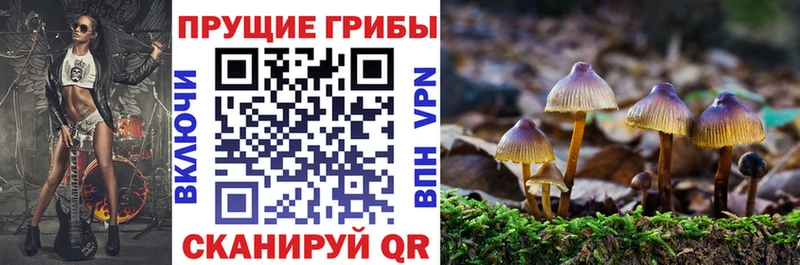 Галлюциногенные грибы GOLDEN TEACHER  Купить где  Владимир
